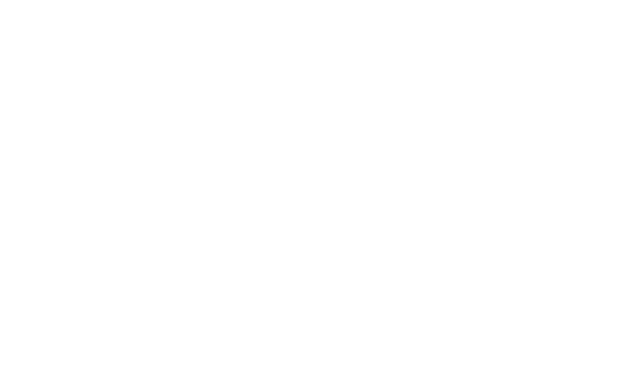 Noosa Rentals - logo